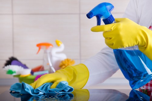 Weekly domestic cleaning tasks in a Kennington flat
