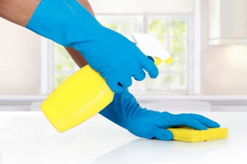 Submitting details for a cleaning service complaint