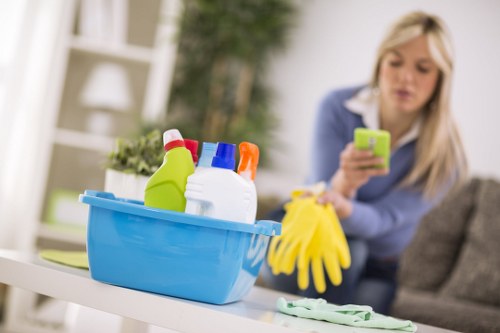 Professional cleaning of a London property facade